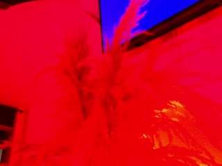 Samy_Grey01