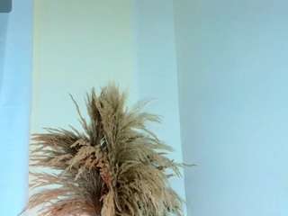 Samy_Grey01