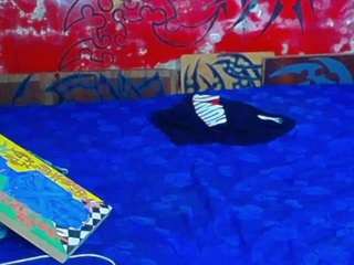 damian77dam camsoda