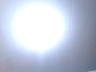 leoandkali Live Webcam on CamSoda