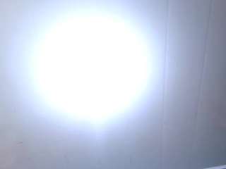 leoandkali Live Webcam on CamSoda