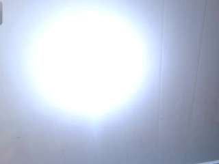 leoandkali Live Webcam on CamSoda