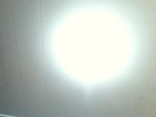 leoandkali webcam