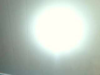 leoandkali webcam