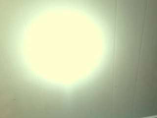 leoandkali live cam — amateur, anal, blowjob
