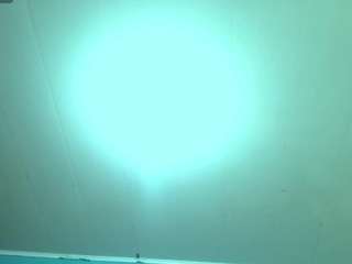 leoandkali live webcam show
