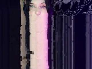 Harakassi