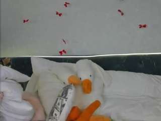 xna11