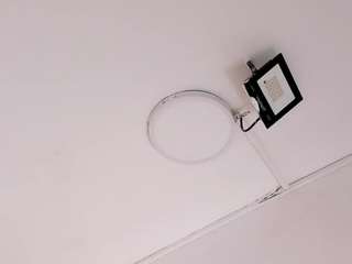 stefannyyevans webcam model