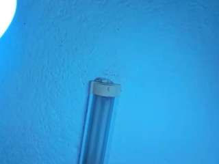 stefanymilk07Curv