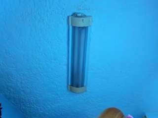 stefanymilk07Curv
