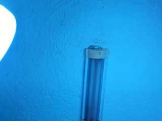 stefanymilk07curv