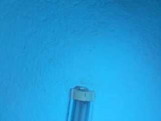 stefanymilk07curv