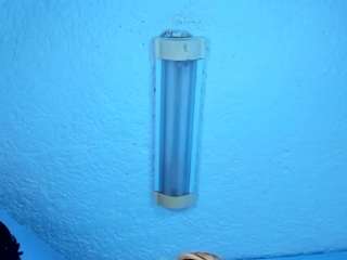 stefanymilk07curv
