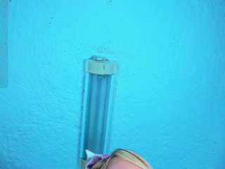 stefanymilk07curv