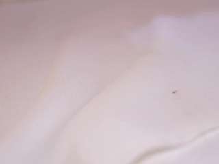 vesia's CamSoda show and profile