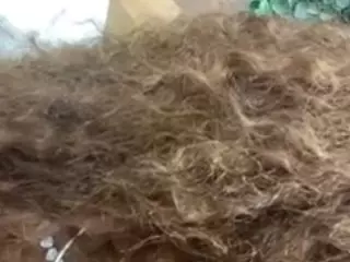 NixxxiFoxxx's Live Sex Cam Show