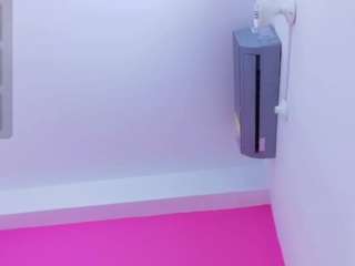 little-beillis webcam