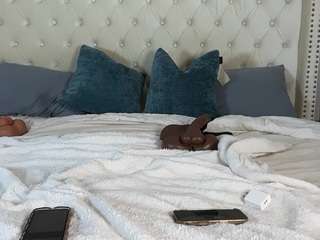 dommelovely from CamSoda is Freechat