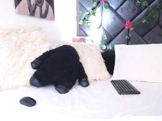  melodystars chat room