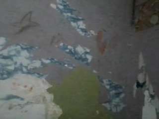 elmonstro690 Live Webcam on {site_name}