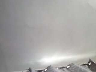 elmonstro690 live cam profile