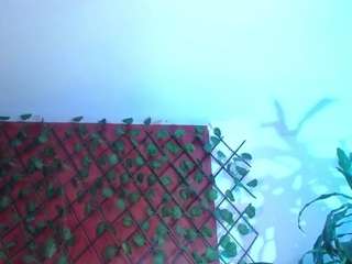 emilytrujillo webcam model