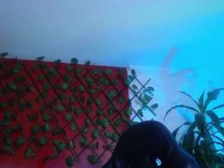 emilytrujillo live cam profile