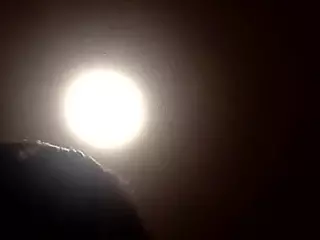 sexyoceanwithbigwaves7425's Live Sex Cam Show