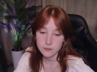 Alicexcute