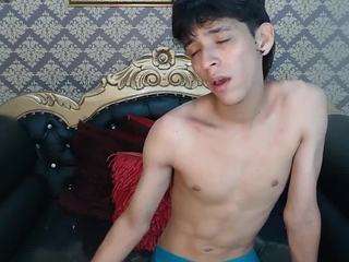 sebas-cat webcam