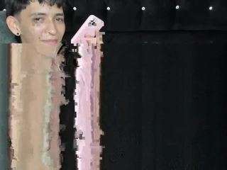 sebas-cat
