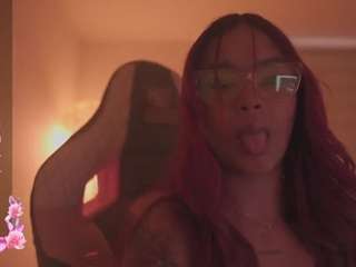 arie-stone webcam