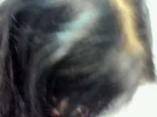 lvmexoxo