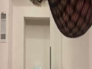 babybooivori