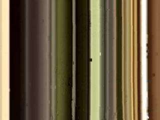 accadunnell webcam