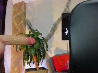 antonia-star Live Webcam on CamSoda