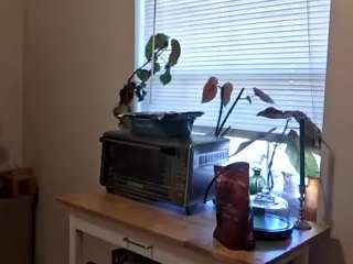 namilexxx3