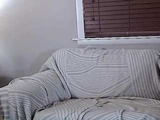 studlyhardwood-2ebbb0a4 webcam
