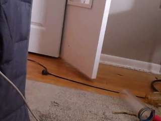 studlyhardwood-2ebbb0a4 webcam