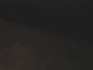 studlyhardwood-2ebbb0a4