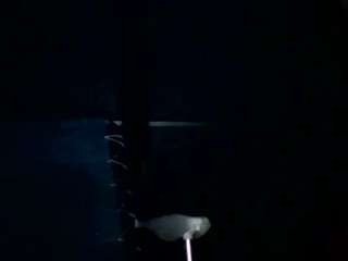 iceman1961