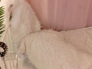 Queenxofxtease