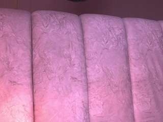 sara-lop