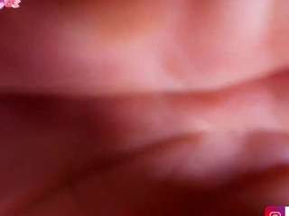 cane-osada webcam