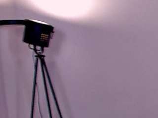 KellyWebster live cam preview
