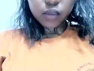 panellah webcam model