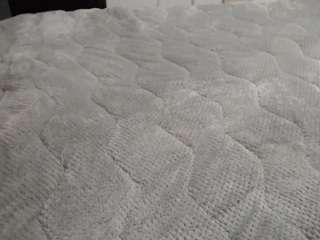 britneydivin's CamSoda show and profile