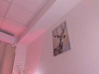 divine-madness webcam