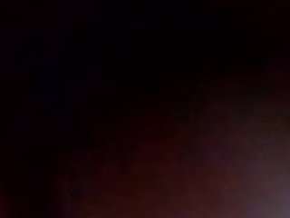 Majesta night